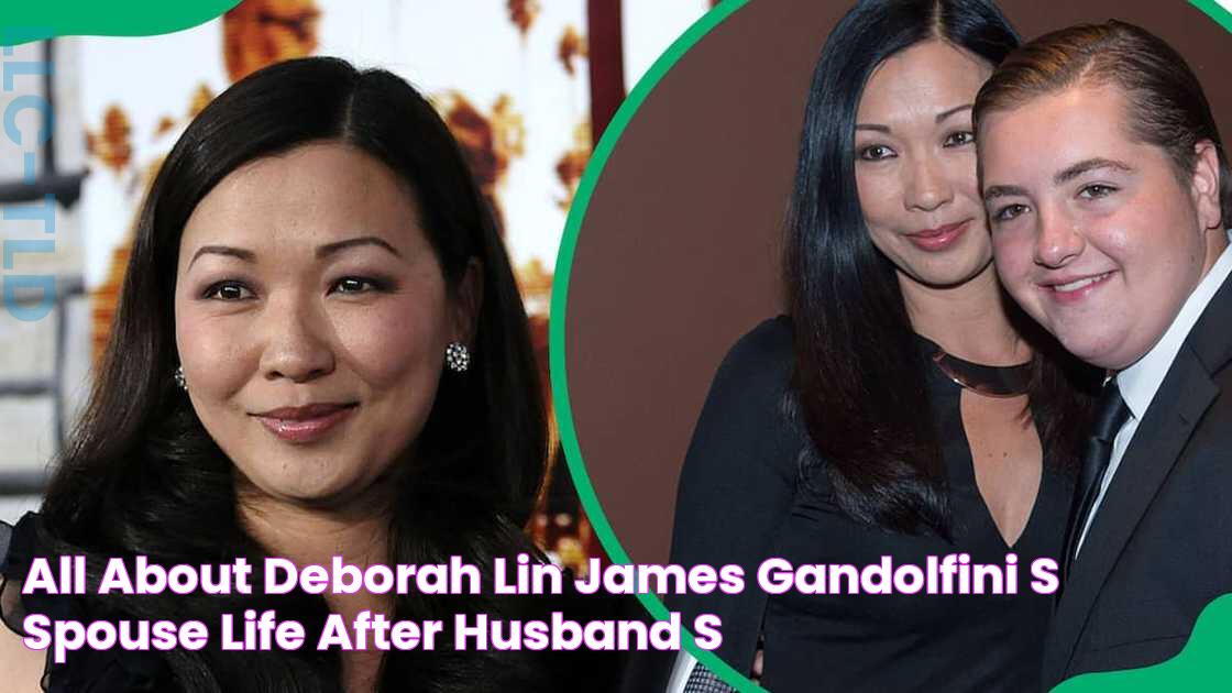 All about Deborah Lin, James Gandolfini’s spouse Life after husband’s