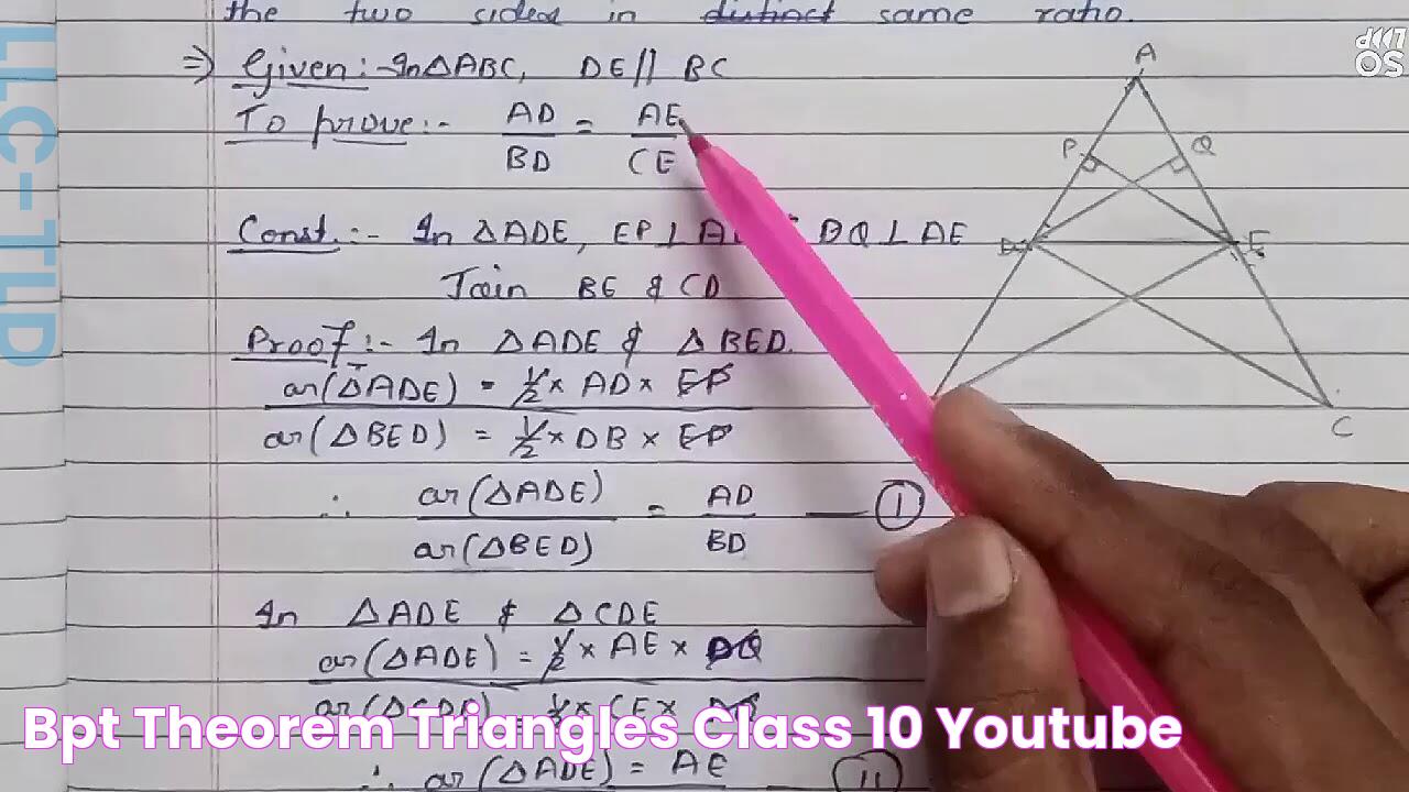 BPT theorem triangles class 10 YouTube