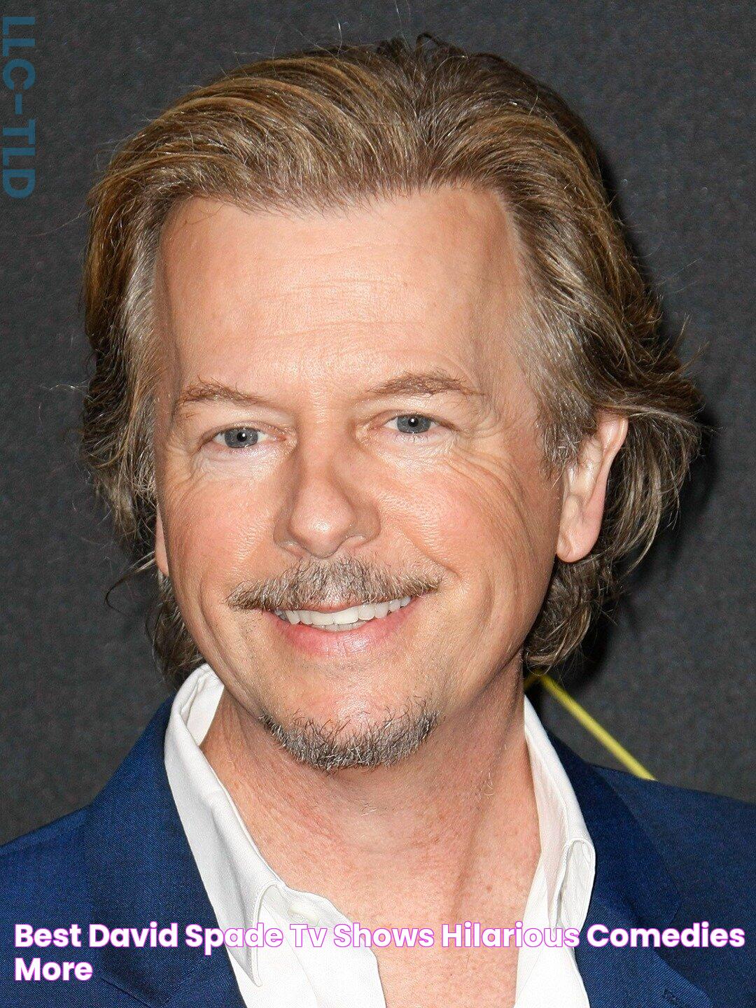 David Spade TV Shows: A Comprehensive Guide