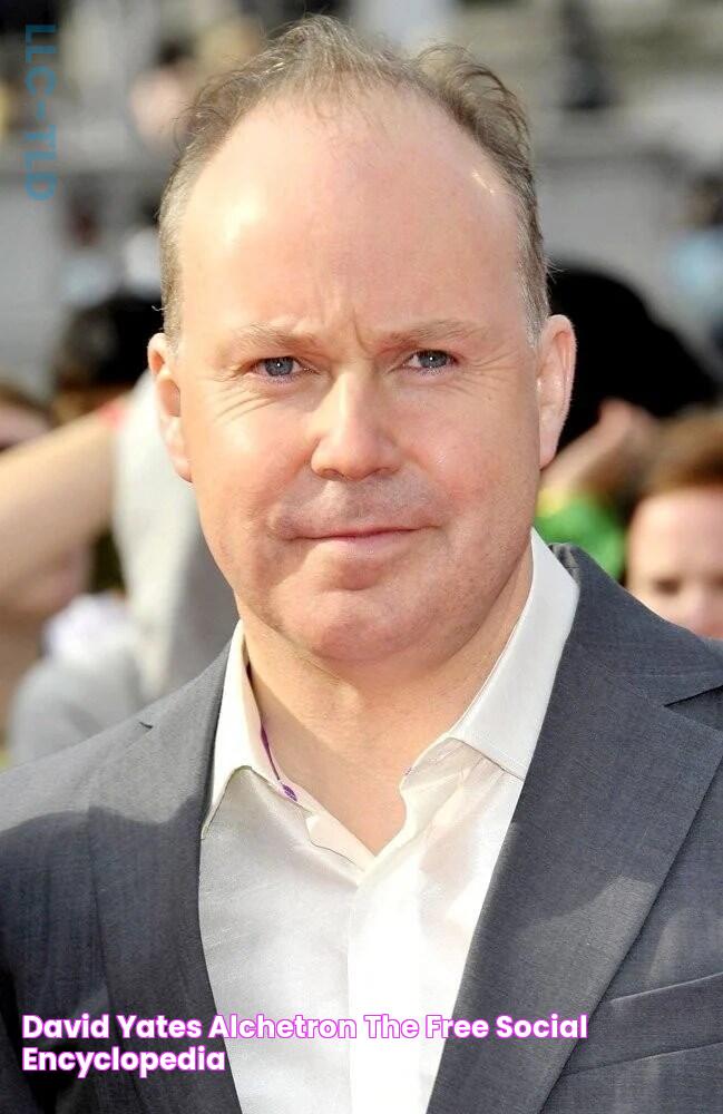 David Yates Wealth: Exploring The Acclaimed Filmmaker's Net Worth