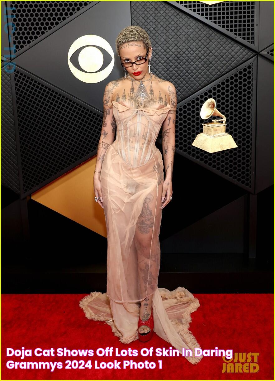 Latest News On Doja Cat's Grammys 2024 Nomination