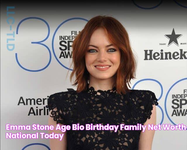 Emma Stone Net Worth: Everything You Need To Know In 2024