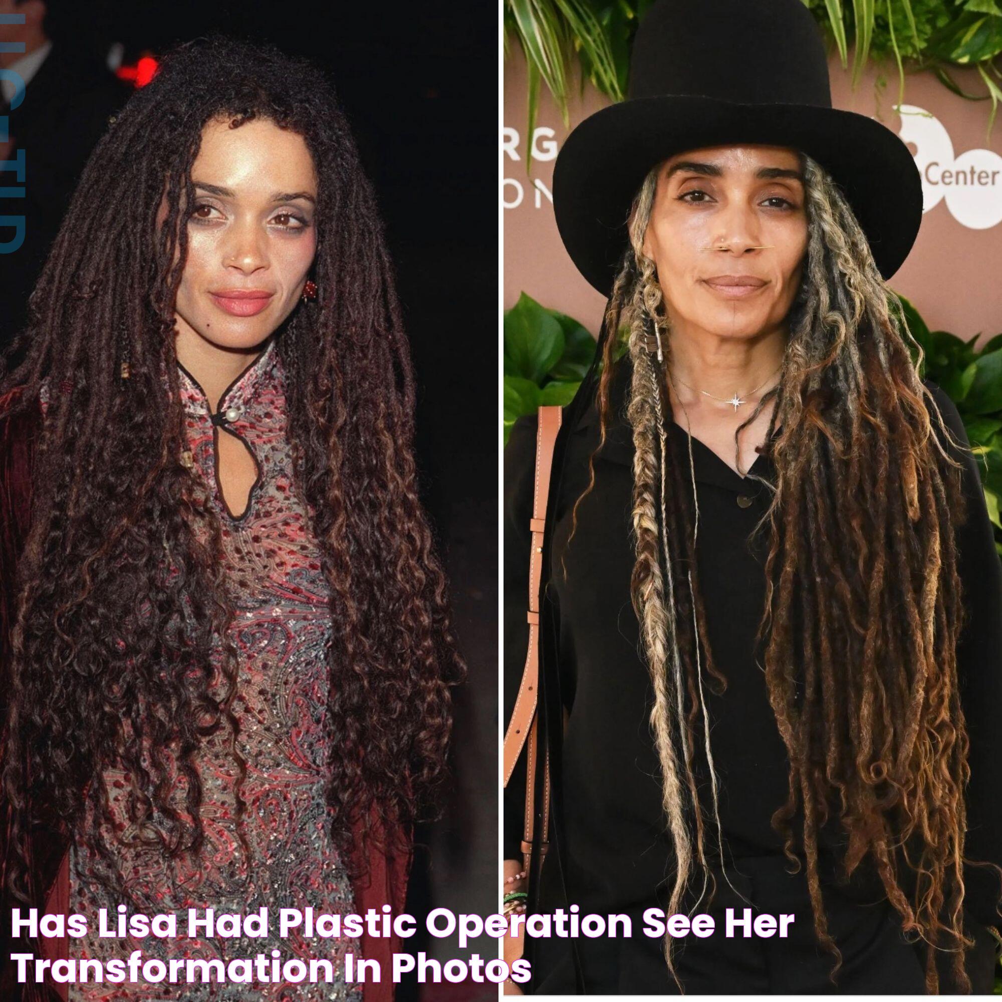 Latest On Lisa Bonet In 2024: What We Know So Far