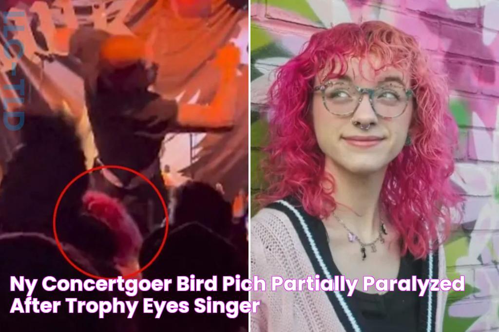 NY concertgoer Bird Piché partially paralyzed after Trophy Eyes singer