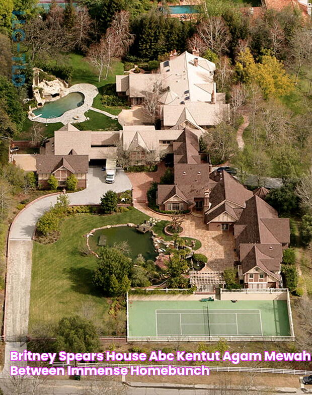 Discover A Peek Inside Aries Spears' Swanky Mansion