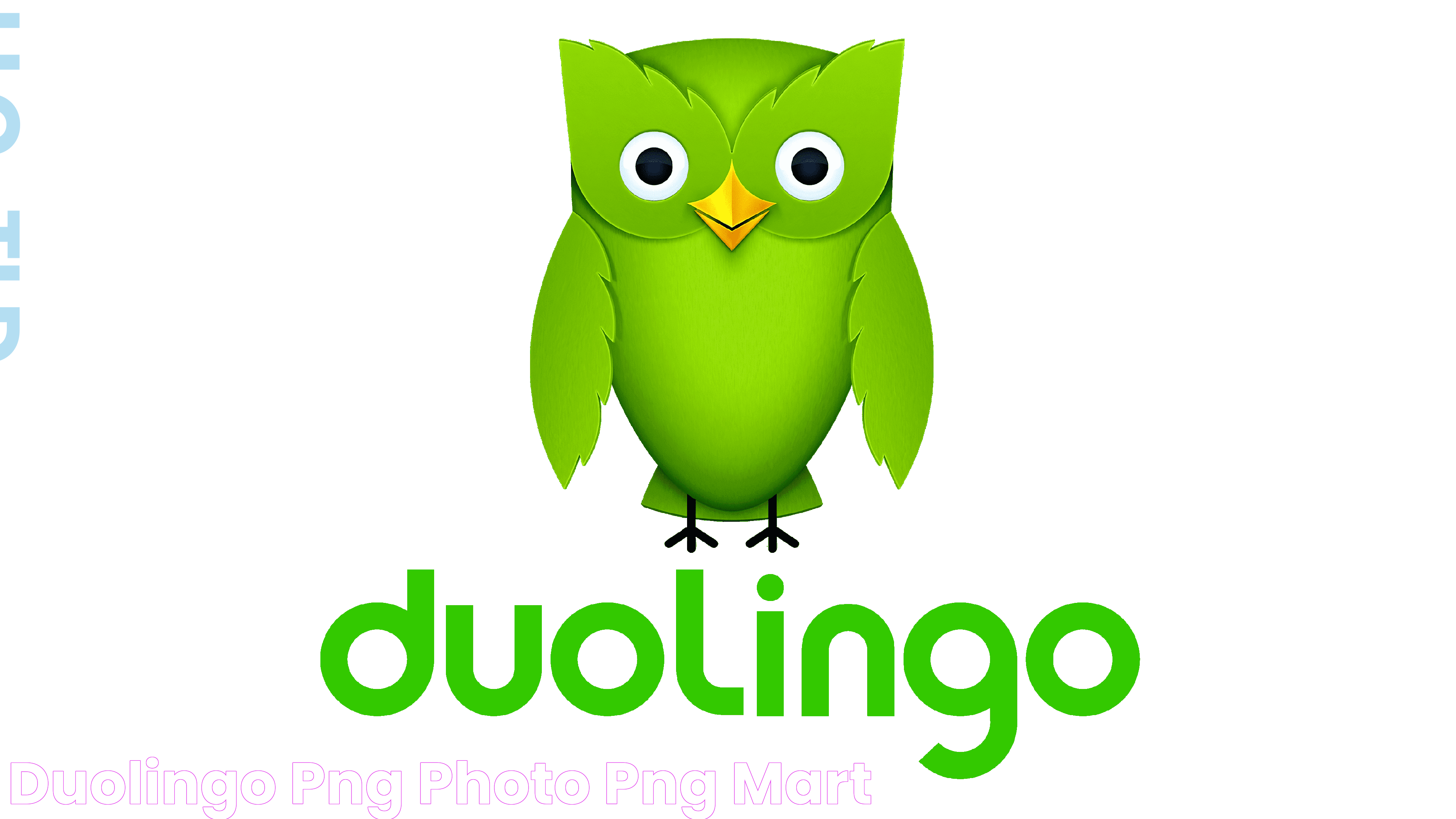 The Ultimate Guide To The Duolingo Affiliate Program: Earn Money While Teaching Languages