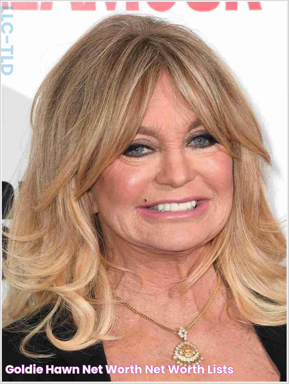 Goldie Hawn Net Worth Net Worth Lists