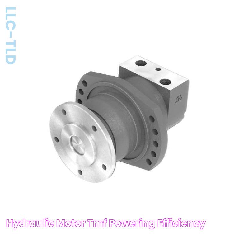 Hydraulic Motor TMF Powering Efficiency