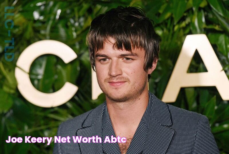 Joe Keery's Net Worth Unveiled: How Much Is The Stranger Things Star Worth?