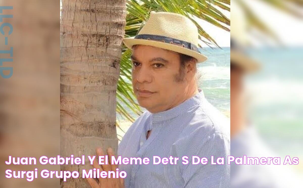 Juan Gabriel's Tree: The Legendary History Of "La Palmera"