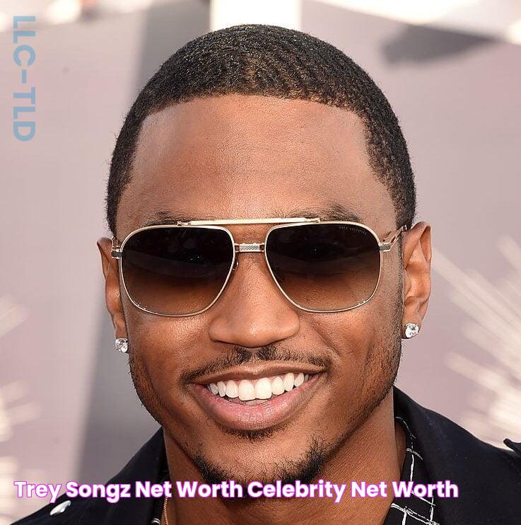 Trey Songz Net Worth Celebrity Net Worth