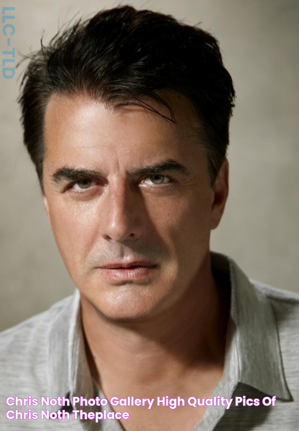 Chris Noth photo gallery high quality pics of Chris Noth ThePlace