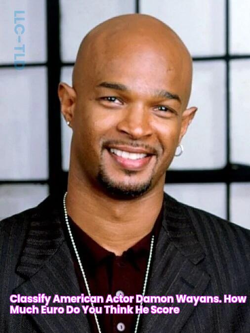 Classify American actor Damon Wayans. How much Euro do you think he score?