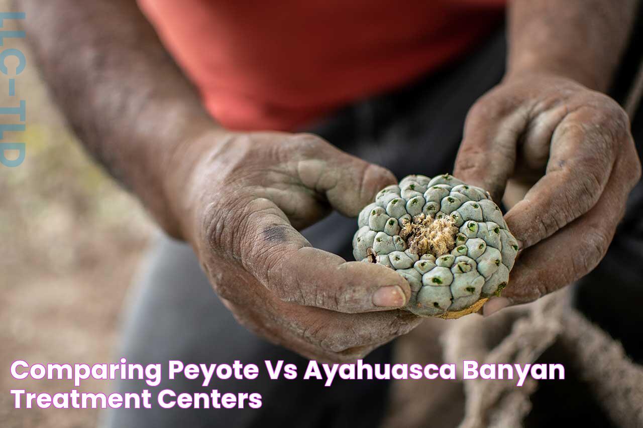 Ayahuasca Vs. Peyote: A Comparison Of Two Powerful Psychedelics