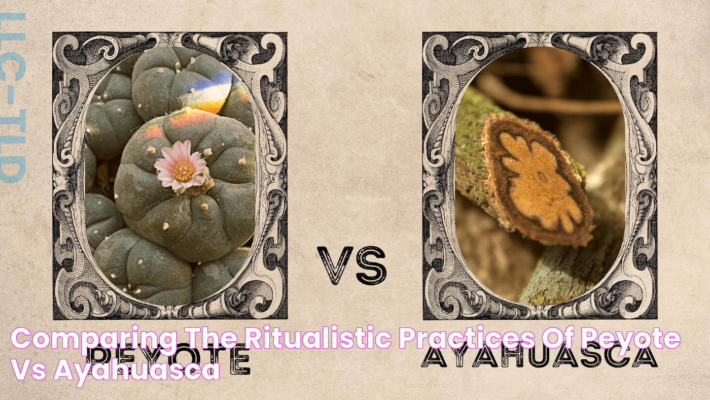 Comparing The Ritualistic Practices Of Peyote Vs Ayahuasca