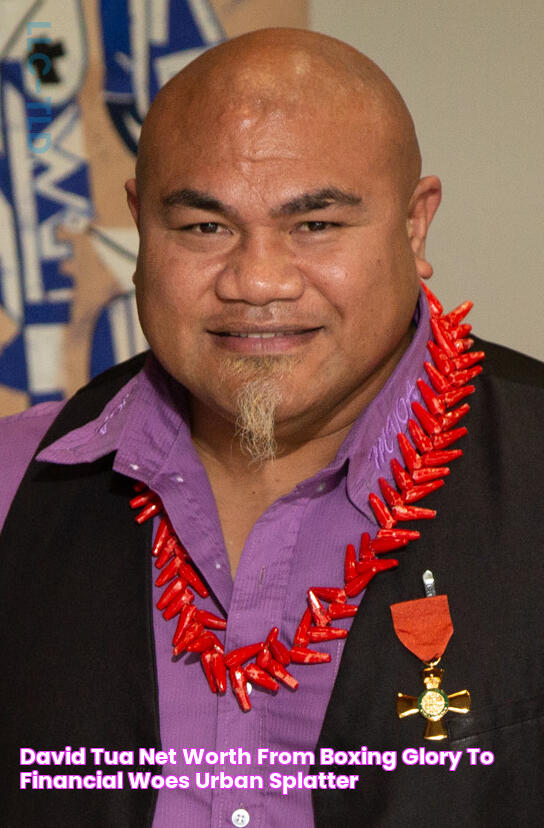 David Tua Net Worth From Boxing Glory to Financial Woes Urban Splatter