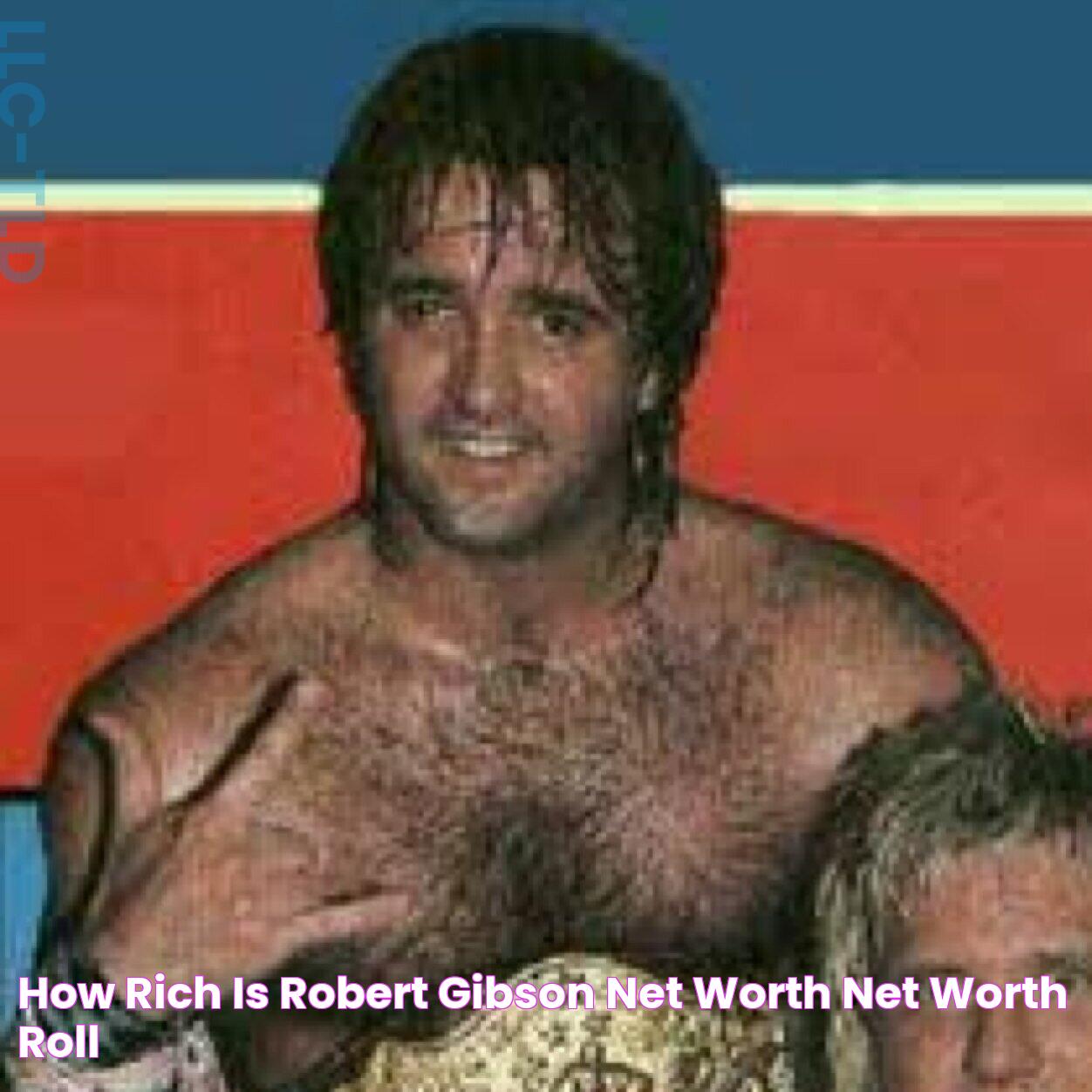 Uncovering Robert Gibson's Net Worth: A Comprehensive Insight