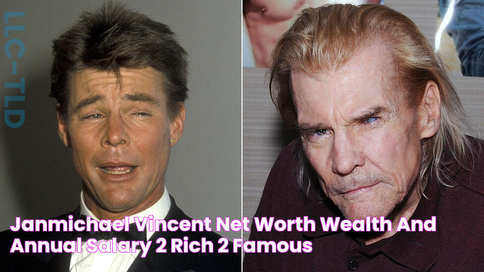 JanMichael Vincent Net Worth, Wealth, and Annual Salary 2 Rich 2 Famous