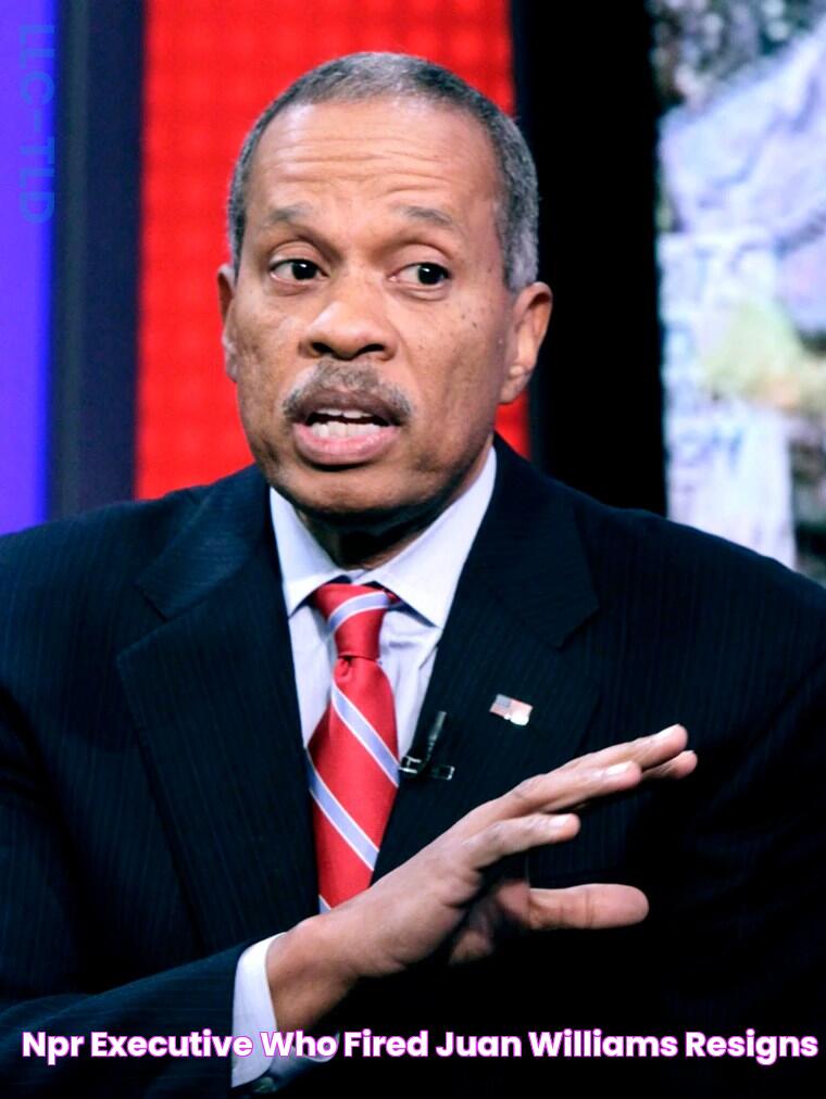 NPR executive who fired Juan Williams resigns