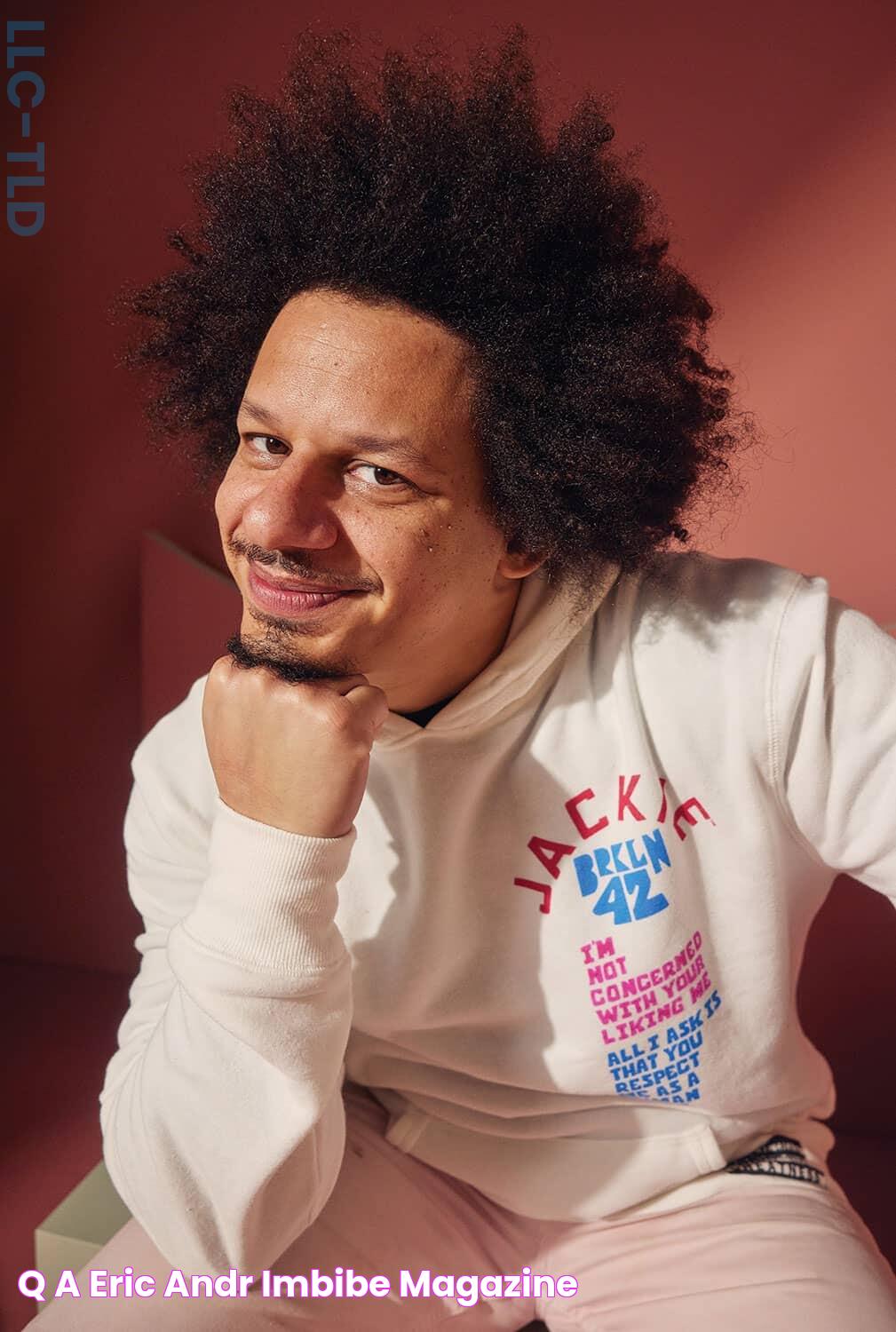 Q&A Eric André Imbibe Magazine