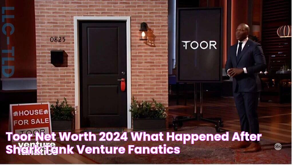 Unveiling Toor's Net Worth In 2024: A Comprehensive Look