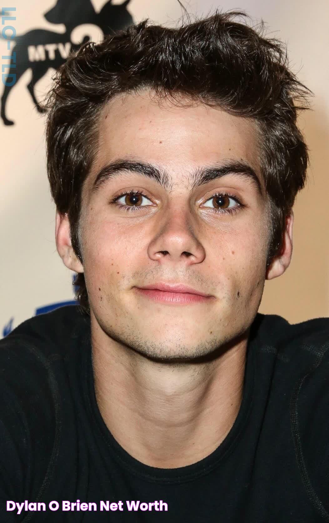 Meet Dylan O'Brien: The Teen Wolf Star And Rising Hollywood Actor