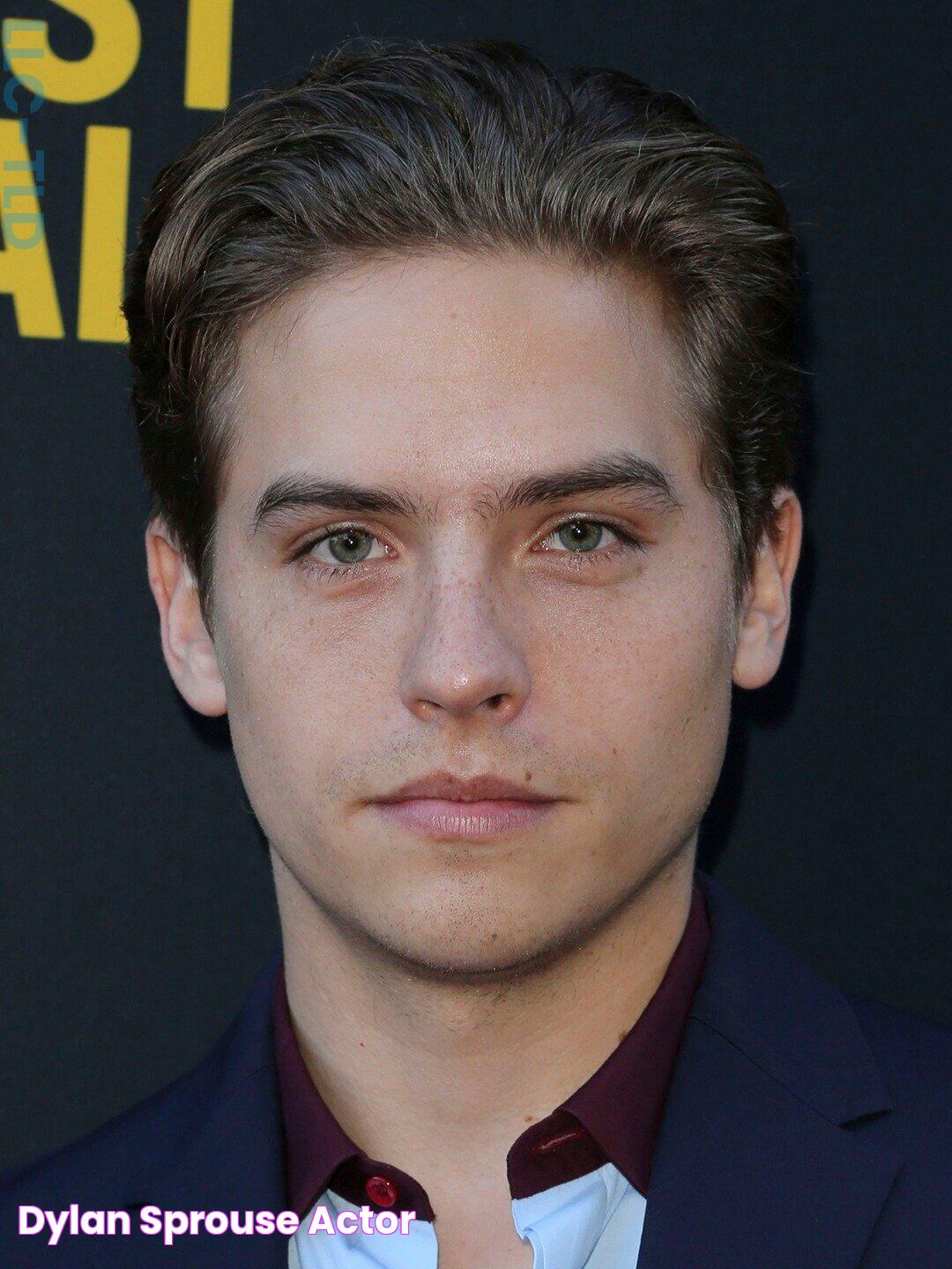 Dylan Sprouse: A Hollywood Star's Journey From Disney To Beyond