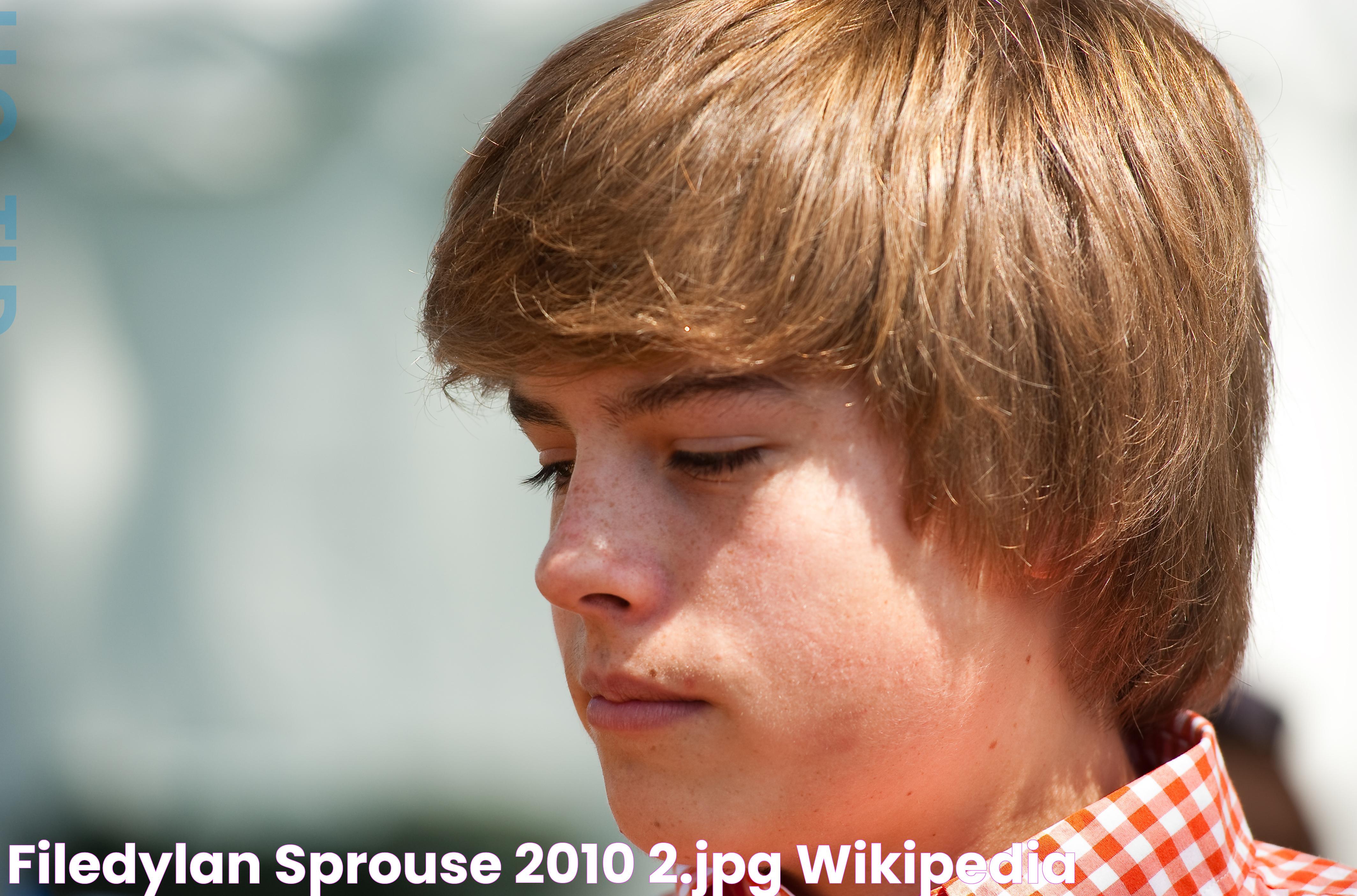 FileDylan Sprouse 2010 2.jpg Wikipedia