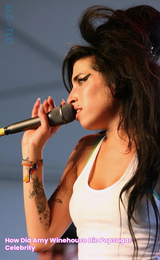 How And When Did Amy Winehouse Pass Away?