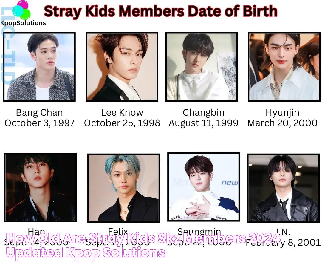 How Old Are Stray Kids (SKZ) Members? (2024 Updated) Kpop Solutions