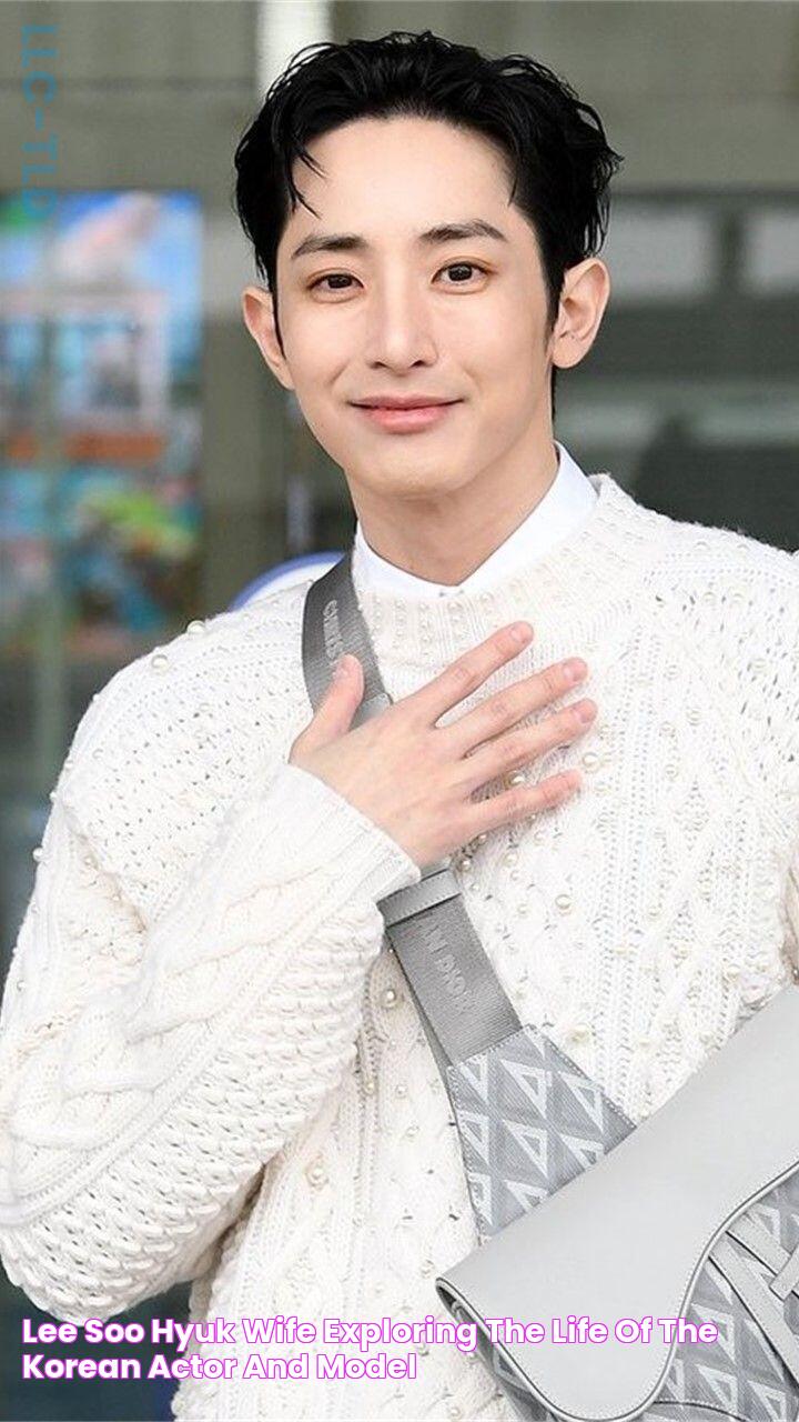 Lee Soo-hyuk's Educational Background And Achievements: An Insight