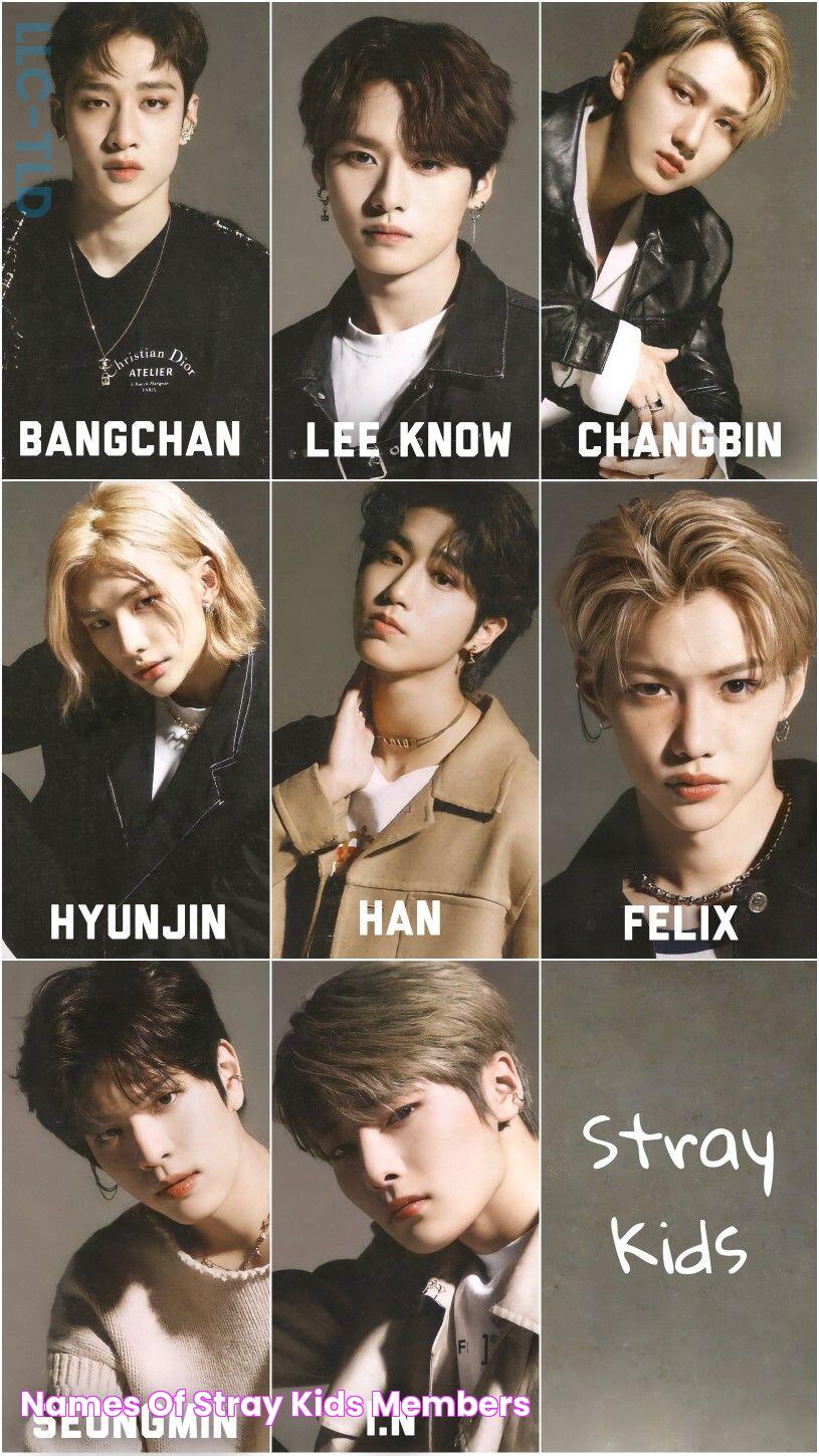 Names Of Stray Kids Members