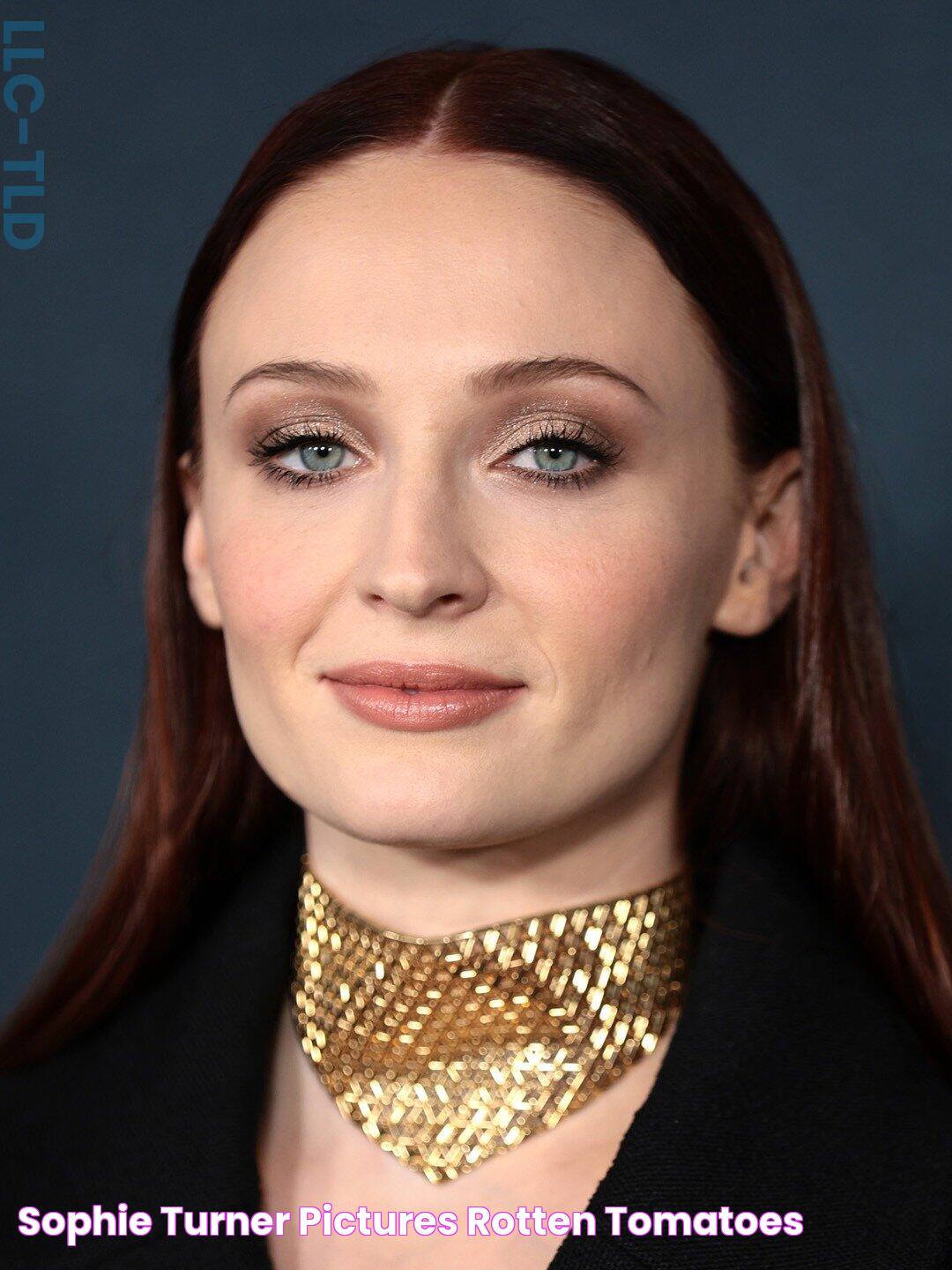 Sophie Turner's Notable Performances In Film And Television