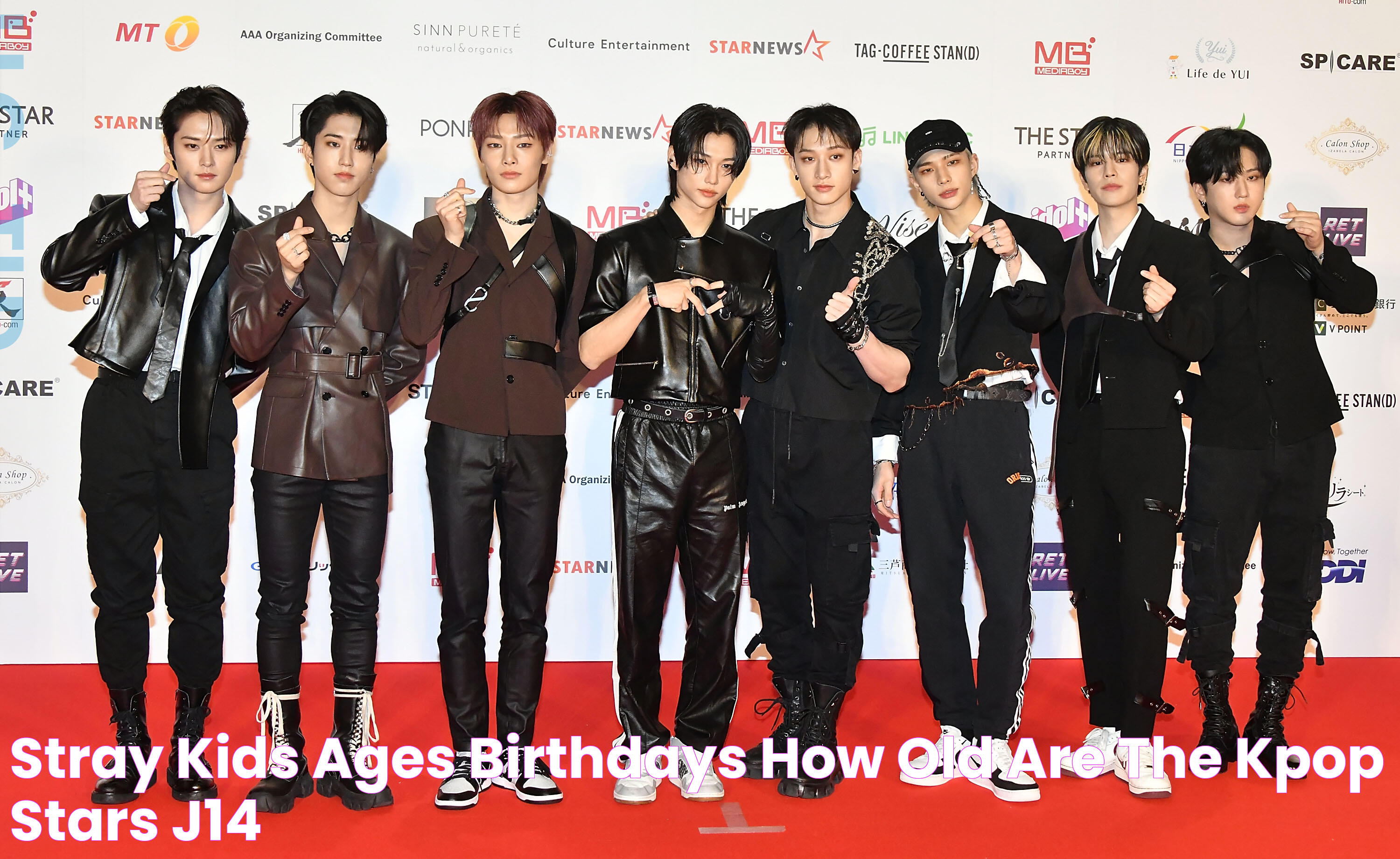 Stray Kids Ages, Birthdays How Old Are the KPop Stars? J14