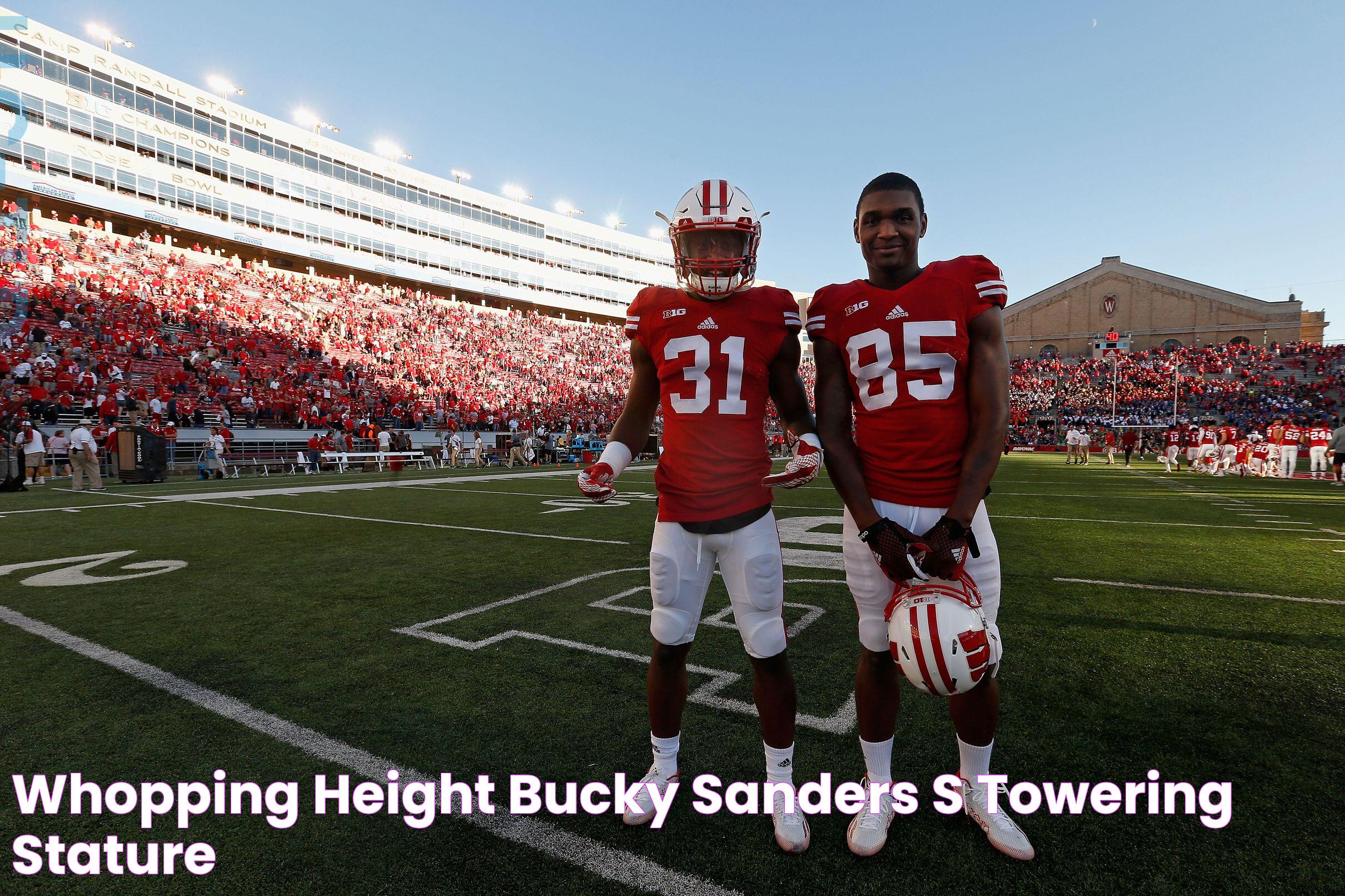 Bucky Sanders Stats: Legendary Touchdown Machine